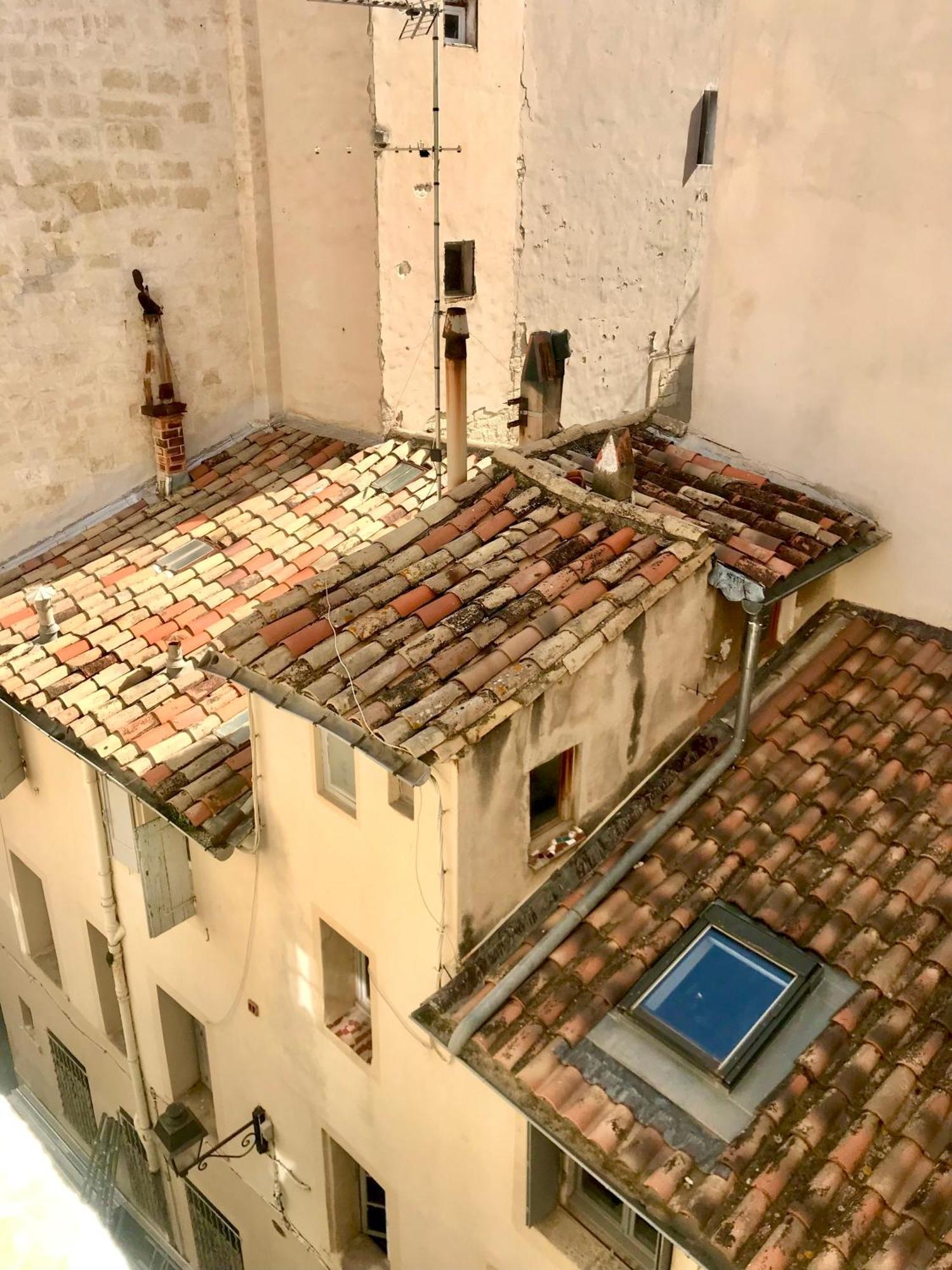 Appartement Cosy Et Calme - Centre Historique Montpellier Ngoại thất bức ảnh