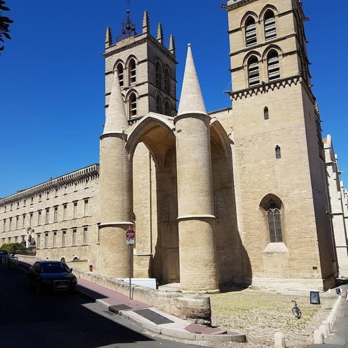 Appartement Cosy Et Calme - Centre Historique Montpellier Ngoại thất bức ảnh
