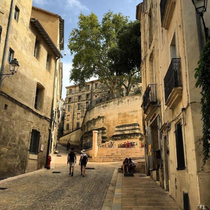 Appartement Cosy Et Calme - Centre Historique Montpellier Ngoại thất bức ảnh